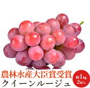 【農林水産大臣賞受賞】秀品 レッドシャインマスカット クイーンルージュ 2房 約1kg 長野県産 ぶどう 葡萄 送料無料 ギフト 贈答用 化粧箱入り 産地直送