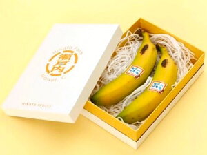 瀬戸内バナナ 岡山県産 特秀 無農薬国産バナナ 贈答用 2本入り化粧箱 送料無料 ギフト 予約販売