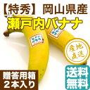 瀬戸内バナナ 岡山県産 特秀 無農薬国産バナナ 贈答用 2本入り化粧箱 送料無料 ギフト 予約販売