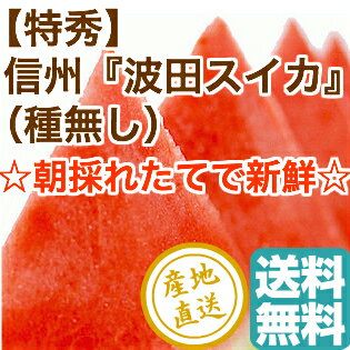 御中元 お中元 ギフト 特秀 信州波田 種無しスイカ 大玉1玉 贈答用約5〜7kg 長野県松本産 送料無料のサムネイル