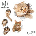 ねこ ステッカー 壁からネコが飛び出す 猫 ウォールステッカー 5枚セット リアル シール 壁 インテリア かわいい 猫グッズ ペット 送料無料 1M◇ とびだ...