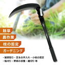 monorabo:10000681のサンプル画像2