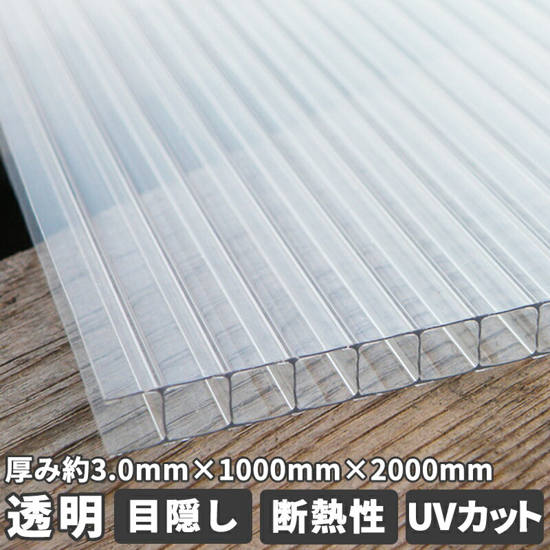 ポリカーボネート 3mm 厚み 透明クリア 1000mm 2000mm 中空ポリカ 厚 約3.0mm 透明ベニヤ ポリカ平板 中空ポリカ板 ポリカーボネイト ポリカプラダン ポリカ中空ボード プラスチックベニヤ 養…