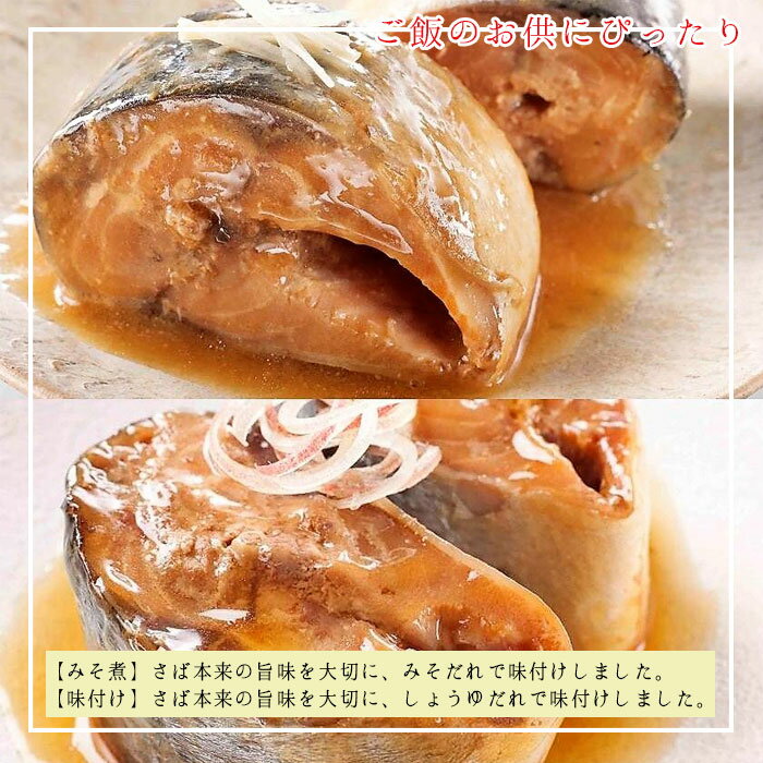 HOKO 宝幸 日本のさば 缶詰 魚 防災 鯖缶 味噌煮＆味付け 各6缶 12缶 セット サバ缶 味噌煮 味付け缶 12缶セット 鯖 さば サバ 味付け 缶詰め 缶づめ 一品料理 非常食 おつまみ 災害 おいしい 便利 おかず 副菜 ギフトセット