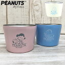 アイスカップ ステンレス スヌーピー アイスクリームカップ PEANUTS アイスクリーム 保冷 容器 カップ 160ml ウッドストック ピーナッツ ボウル 容器ごと SNOOPY ジェラート アイス デザート かわいい おしゃれ ギフト プレゼント ピンク ブルー