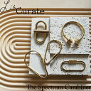 カラビナ キーホルダー おしゃれ 真鍮 アンティーク調 バッグ チャーム 鍵 キーリング アウトドア LibCurateThe Spectrum Carabin...