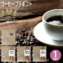 コーヒー（予算3000円以内） コーヒー ドリップパック ギフトコーヒー 個包装 2個入り 本格 ドリップ シアトルブレンド 美味しい 高級感 おしゃれ プチギフト ギフト 人気 退職 プレゼント お返し お礼 産休 ホテル オフィス 転勤 挨拶