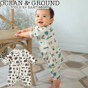 OCEAN&GROUND I[V&OEh p[X  OJ j̎q ̎q 70cm xr[ S2F 1920502   pX oYj v[g Mtg