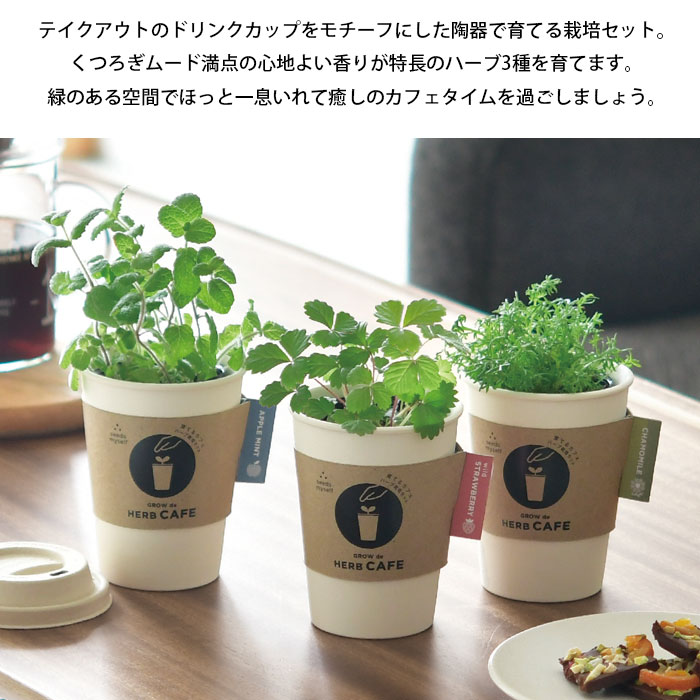 ハーブ栽培キット 栽培セット 栽培キット 育てるカフェ 聖新陶芸 栽培 育てる アッ...