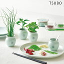 栽培セット 室内 栽培キット 栽培 セット 薬味 TSUBO しそ 唐辛子 ねぎ GD-998 壺 家庭菜園 おしゃれ かわいい 和風 観葉植物 植物 ガーデニ...