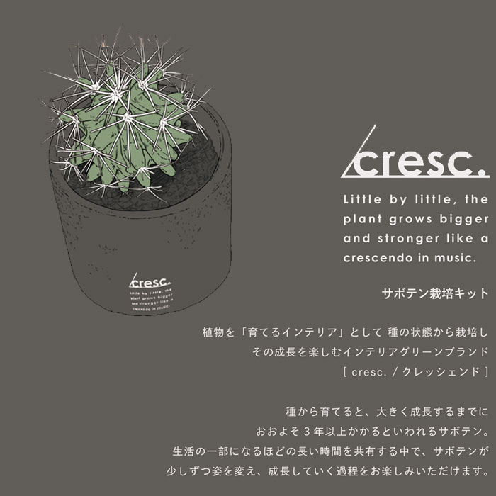 栽培キット 室内 サボテン cresc. クレッシェンド 丸サボテン 種 ホワイト ブラッ...