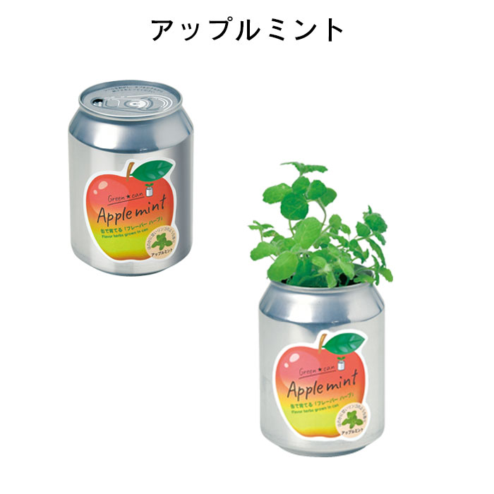 栽培セット 室内 プチギフト 缶 栽培キット ハーブ 初心者 グリーンカン アップル...