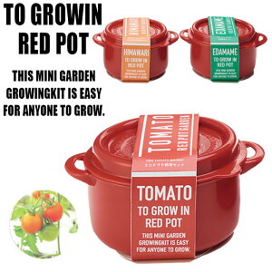 栽培セット 育成 野菜栽培 エコポット RED POT GARDEN 栽培キット 枝豆 ミニトマト ミニヒマワリ CG -101 育てる 野菜 小物入れ 花 花苗 鉢花 トマト 鉢植え ひまわり ベランダ菜園 家庭菜園 プレゼント ギフト 母の日 父の日 敬老の日