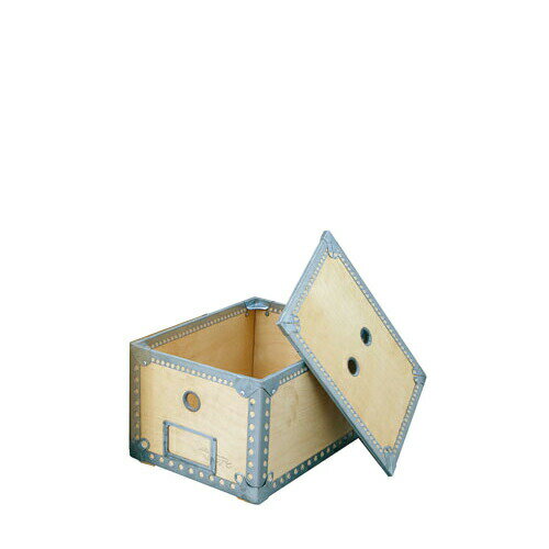 Rakuten - 収納ボックス 木製 ダルトン ウッデン ボックス S DULTON 蓋付き 収納ケース 収納BOX WOODEN BOX 100-226S クローゼット収納 オブジェ 整理 整頓 整理整頓 本 DVD CD ボックス ケース 箱 ハコ フタ 蓋 収納