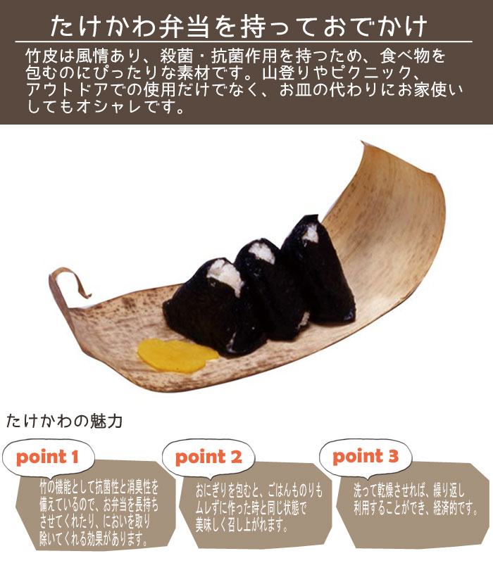 Naturalist 天然 10枚入り 紐付き おにぎり たけかわ お弁当 抗菌 天然木 木の皮 木製 ランチ ピクニック 使い捨て ちまき 和風