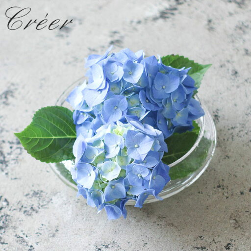 フラワーベース 花瓶 ガラス おしゃれ フラットベース ハイドレンジア シナリーベース 花器 花びん ベース 花 フラワー 飾る 花入れ 丸 ハンドメイド ガラス製 フラワーベース 花瓶 ガラス おしゃれ フラットベース ハイドレンジア シナリーベース 花器 花びん ベース 花 フラワー 飾る 花入れ 丸 ハンドメイド ガラス製