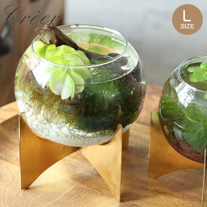 樂天商城 - 花瓶 フラワーベース 花器 ガラス インブルーム L ガラスボウルベース 花びん フラワー ベース 花 花入れ 飾る ガラスボウル アイアン ガラス製 ゴールド クリア