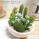 人工観葉植物 観葉植物 フェイク 卓上 フェイクグリーン 抗菌 消臭 消臭アーティフィシャルグリーン 丸型 サキュレントリフレリウム M 造花 アートフラワー ...