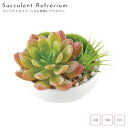 人工観葉植物 観葉植物 フェイク 卓上 フェイクグリーン 抗菌 消臭 消臭アーティフィシャルグリーン 丸型 サキュレントリフレリウム B 造花 アートフラワー ...