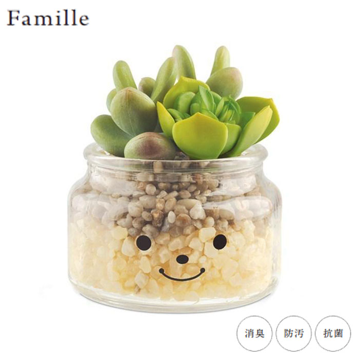 �ե��������꡼�� ��� ���襤�� �͹����տ�ʪ ¤�� �͹���ʪ ���տ�ʪ ¿����ʪ �ե��ߡ��� �ý������ƥ��ե�����륰�꡼�� ���ƥ����֥� �ꥢ�� ct���� ...