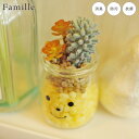 フェイクグリーン 卓上 かわいい 人工観葉植物 造花 人工植物 観葉植物 多肉植物 ファミーユ 消臭アーティフィシャルグリーン アンディ リアル ct触媒 風水...