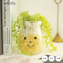 フェイクグリーン 卓上 かわいい グリーンネックレス 人工観葉植物 造花 人工植物 観葉植物 多肉植物 ファミーユ 消臭アーティフィシャルグリーン テイラー リ...