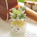 フェイクグリーン 卓上 かわいい 人工観葉植物 造花 人工植物 観葉植物 多肉植物 ファミーユ 消臭アーティフィシャルグリーン エミリー リアル ct触媒 風水...