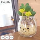 フェイクグリーン 卓上 かわいい 人工観葉植物 造花 人工植物 観葉植物 多肉植物 ファミーユ 消臭アーティフィシャルグリーン アデル リアル ct触媒 風水 ...