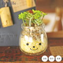 フェイクグリーン 卓上 かわいい 人工観葉植物 造花 人工植物 観葉植物 多肉植物 ファミーユ 消臭アーティフィシャルグリーン ニコラ リアル ct触媒 風水 ...