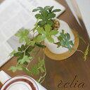 シュガーバイン フェイクグリーン 観葉植物 人工観葉植物 造花 水やり不要 光触媒 エクリア インテリア 卓上 ミニ CT触媒 抗菌 防汚 消臭 清潔 玄関 洗...