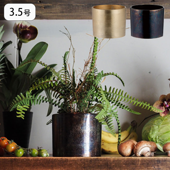 Rakuten - 鉢カバー 植木鉢 3.5号 花器 観葉植物 プランター AMシリンダーポット プラントポット ポット 植物用ポット 丸 植物 植木鉢カバー 花 園芸 サボテン インテリア 金属 軽量 アルミ