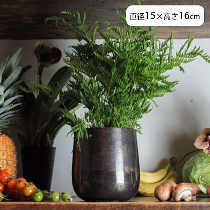 樂天商城 - 鉢カバー 植木鉢 花器 観葉植物 プランター AM4ベース プラントポット ポット 植物用ポット 丸 植物 植木鉢カバー 花 園芸 花瓶 インテリア 金属 軽量 底穴なし アルミ