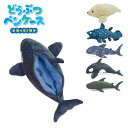 筆箱 ペンケース ぬいぐるみ 中学生 小学生 高校生 どうぶつ 海の生き物 ジンベエザメ シャーク シャチ アザラシ シーラカンス 動物 ポーチ アニマル ペン...