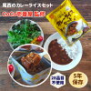 非常食 非常食セット 保存食 防災食 長期保存 アルファ米 白飯 白米 ごはん 5年 尾...