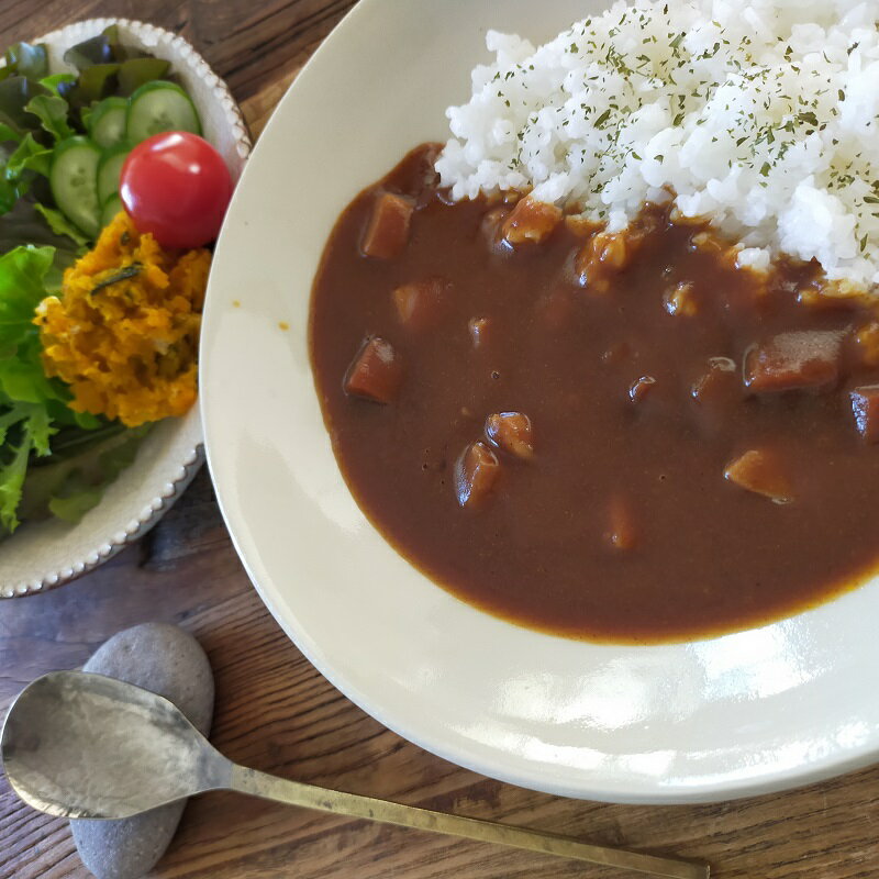 非常食 非常食セット 保存食 防災食 長期保存 アルファ米 白飯 白米 ごはん 5年 尾西食品 coco壱 coco壱番屋 ここいち アルファ米 おかず 尾西 coco壱 カレー 防災グッズ 防災 備蓄 賞味期限 5年保存 アルファ米尾西 白飯 白米 アウトドア キャンプ 登山 海外旅行