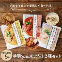 非常食セット 非常食 保存食 防災食 おかず ごはん 手羽先玄米 リゾット 3種セット 防災 防災グッズ 保存食セット レトルト 5年 3日分 防災食セット 防災用品 長期保存 避難グッズ 備蓄 アウトドア キャンプ 登山 地震対策 台風対策