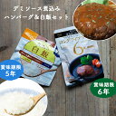 非常食セット おかず 非常食 保存食 デミソース煮込み ハンバーグ アルファ米 白飯 尾西食品 長期保存 5年 6年 保存 レトルト 食品 美味しい非常食 防災グッズ 防災用品 備蓄 賞味期限 アウトドア キャンプ 登山 釣り　LLF