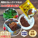 【ケース売り30個】非常食 非常食セット 保存食 防災食 長期保存 アルファ米 白飯 白米 ごはん 5年 尾西食品 coco壱 coco壱番屋 ここいち アルファ米 おかず 尾西 coco壱 カレー 防災グッズ 防…