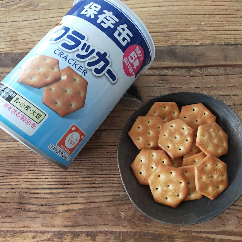 【10%OFF】非常食セット 非常食 お菓子の非常食 10種セット 非常食お菓子 3日分 5年 保存 防災セット 防災グッズ 防災用品 【送料無料】保存食 長期保存 備蓄 賞味期限 5年 5年保存 アウトドア キャンプ 登山 海外旅行などにも