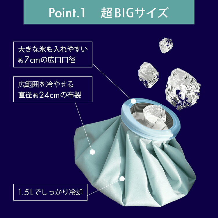 【クーポン発行中】2026年新商品 2個セット ピーコック アイスパックスポーツ ビッ...