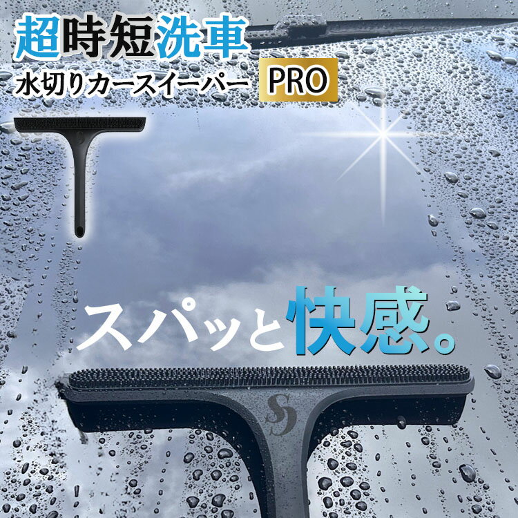 樂天商城 - カースイーパー PRO プロ 水切りワイパー ハンディーワイパー ハンドワイパー 洗車用品 ワイパー リバーシブル 水切り ブラシ 洗車グッズ 洗車 スキージー 傷つかない 車【ポイント10倍】