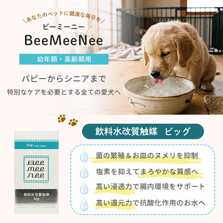 MONOTOKI-モノトキ-のBeeMeeNee ビーミーニー 飲料水改質触媒 ビッグ dog 犬 ペット用 約1年 日本製 お水 飲料水 ペットウォーター 99%除菌 浸透力 まろやか 6時間 健康 ワンちゃん 愛犬【ポイント12倍】｜アングル2