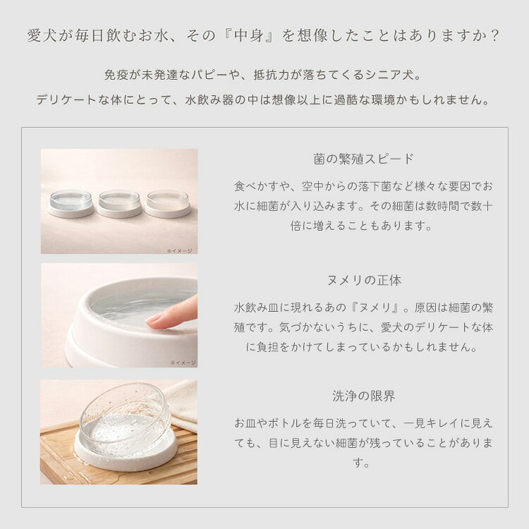 MONOTOKI-モノトキ-のBeeMeeNee ビーミーニー 飲料水改質触媒 ビッグ dog 犬 ペット用 約1年 日本製 お水 飲料水 ペットウォーター 99%除菌 浸透力 まろやか 6時間 健康 ワンちゃん 愛犬【ポイント12倍】｜アングル3