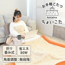 【クーポン利用で1500円OFF】THANKO お手軽こたつ ちょいこた ホワイト 折りたたみ式 コンパクトサイズ 省エネ 5段階調整 手洗い洗濯 テーブル 机 フリース ボア 軽量 薄型 無段階角度調節 一人用こたつ