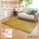 【クーポン利用で5000円OFF】【正規販売店】 【メーカー直送】ゼンケン 電磁波99%カット「電気ホットカーペット」 2024年リニューアル 1畳用カバーセッ...