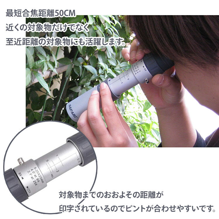 ����������Ź��SAFARI 8�ܡ�25�ܥ����� ñ��� ���ե��� ��ΤҤ饵���� ��ñĴ�� ����ѥ��� � �饤�� ���󥵡��� ���ݡ��Ĵ��� ���� ���� �ޥ�������� ������꡼��