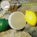 【クーポン利用で5%OFF】soel LIVING-OIL SOAP Citrus Vitamin 生せっけん シトラスビタミン 100mL ソエル リビングオ...