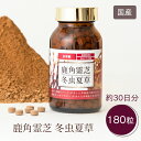 【クーポン利用で1500円OFF】鹿角霊芝 冬虫夏草 180粒入り サプリメント 健康食品 漢方 キノコ 霊芝 アミノ酸 β-グルカン コルジセピン 無添加 無農薬 免疫 エイジングケア 体調管理 疲れ 肝臓 花粉 天然 日本製 人気 霊芝サプリ 人気 霊芝 国産 木村秋則 奇跡のリンゴ