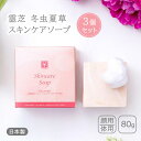 【クーポン利用で500円OFF】霊芝 冬虫夏草 スキンケアソープ 3個セット 80g×3 せっけん 洗顔石けん 固形石けん 石鹸 洗顔 スキンケア ボディソープ...
