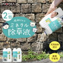【クーポン利用で500円OFF】2個セット PROIDEA 庭師さんのミネラル除草液 2L×2 除草 天然由来成分 無害 安全 草取り 雑草 芝 安全 ガーデニング 庭 農薬不使用 草枯らし 雑草対策 雑草除去 除草剤 無農薬 環境にやさしい 枯らす 天然成分 日農耕地 駐車場 空地道路 自宅